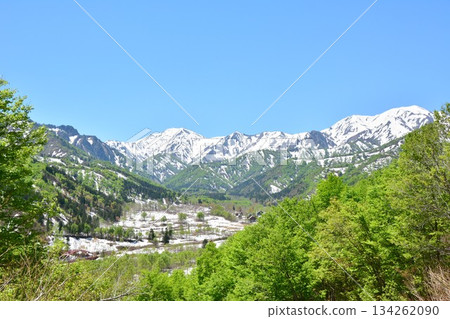 Early spring fresh greenery in Uonuma City, Niigata Prefecture, Okutadami Ginzandai Onsen, Shirogane no Yu, and the remaining snow on the Arasawa Mountains 134262090