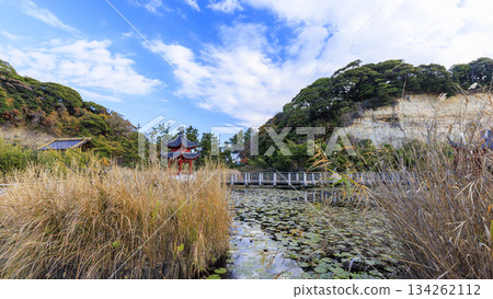 本木市公園的秋天 134262112