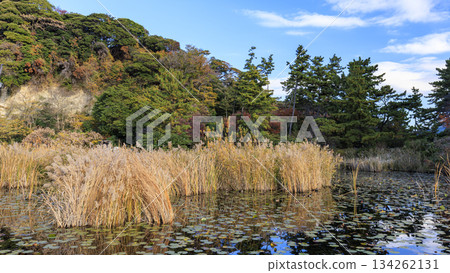 本木市公園的秋天 本木市公園的秋天 134262131
