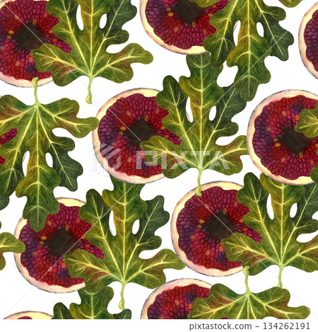 Seamless pattern with fig tree leaves and fig fruit in cross-section on a white background. The illustrations are hand-drawn in watercolor. Suitable for printing on fabric and paper. Seamless pattern with fig tree leaves and fig fruit in cross-section on a white background. The illustrations are hand-drawn in watercolor. Suitable for printing on fabric and paper. 134262191