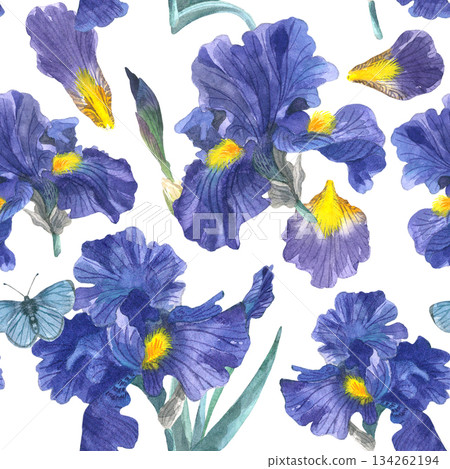 Seamless floral pattern with iris flowers, petals, buds, and butterflies on a white background. Hand-drawn in watercolor. Suitable for printing on fabric and paper. 134262194