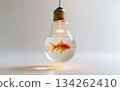 A glass light bulb on a white background containing a goldfish swimming in clear water, symbolizing fragile life, environmental awareness, confinement and concept of protecting nature.Ai generation 134262410