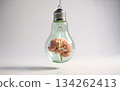 A glass light bulb on a clean white background with a human brain placed inside, symbolizing education, ideas, innovation, science and modern neurobiology for creative conceptual design. Ai generation 134262413