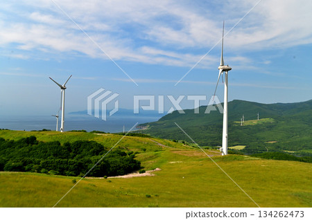 Wind-power generation  134262473