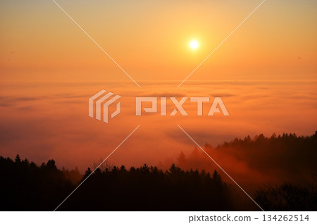 Sea of clouds 134262514