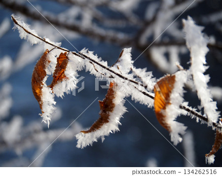 Foggy ice Foggy ice 134262516