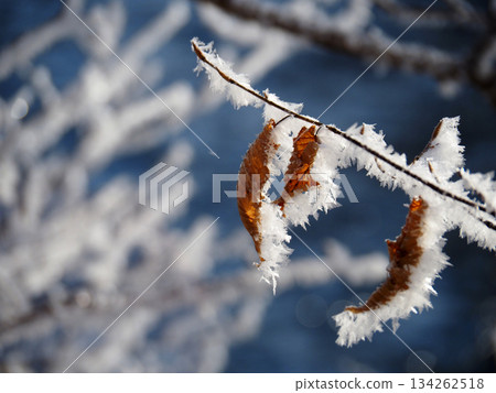 Foggy ice Foggy ice 134262518