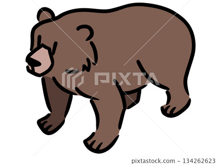 Cute bear. Brown bear. Isometric illustration. Cute bear. Brown bear. Isometric illustration. 134262623