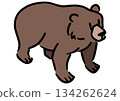 Cute bear. Brown bear. Isometric illustration. 134262624