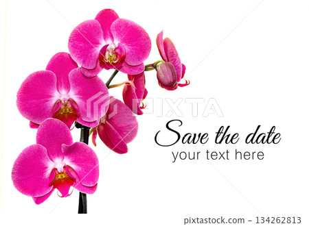 Purple Orchids on yellow paper background. Top view, blank space Purple Orchids on yellow paper background. Top view, blank space 134262813