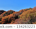 Hoshida Forest (Katano City, Osaka Prefecture) 134263223