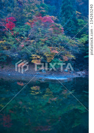 岡山秋葉 134263240