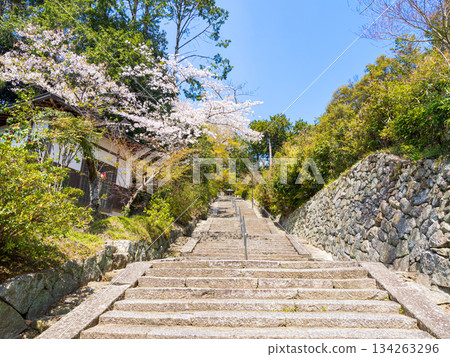 [Nara Prefecture] Yata-dera Temple (Kongosan-ji Temple) in Yamatokoriyama City (photographed on April 9, 2025) 134263296