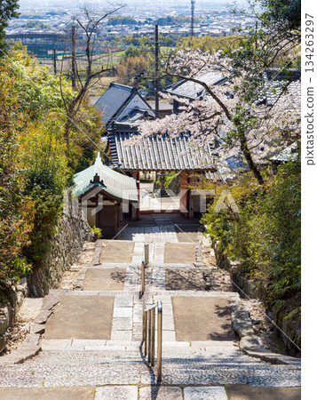 【奈良縣】大和郡山市八田寺（金剛山寺）（拍攝於2025年4月9日） 134263297