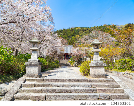 【奈良縣】大和郡山市八田寺（金剛山寺）（拍攝於2025年4月9日） 134263301