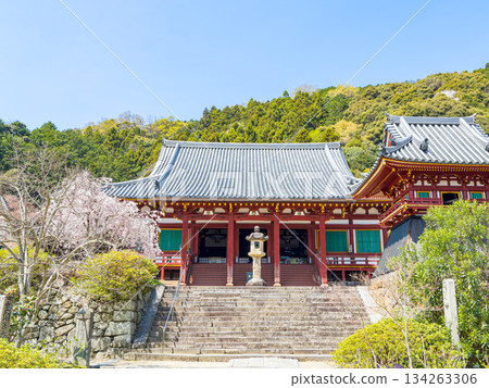 [Nara Prefecture] Yata-dera Temple (Kongosan-ji Temple) in Yamatokoriyama City (photographed on April 9, 2025) 134263306
