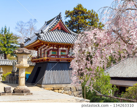 【奈良縣】大和郡山市八田寺(金剛山寺)(拍攝於2025年4月9日) 【奈良縣】大和郡山市八田寺(金剛山寺)(拍攝於2025年4月9日) 134263310