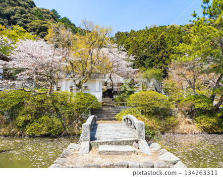 【奈良縣】大和郡山市八田寺(金剛山寺)(拍攝於2025年4月9日) 【奈良縣】大和郡山市八田寺(金剛山寺)(拍攝於2025年4月9日) 134263311