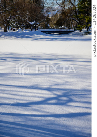 松武池(中島公園)雪景_3206 松武池(中島公園)雪景_3206 134263324