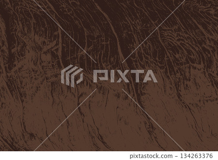Wood cross section Wood cross section 134263376