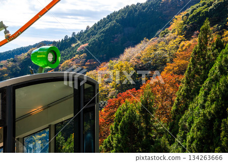 Oyama Cable Car Oyama Cable Car 134263666