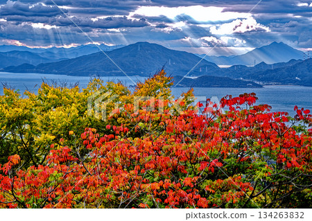 若狹的光芒 若狹的光芒 134263832