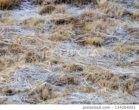 Frozen winter riverbed 134264081