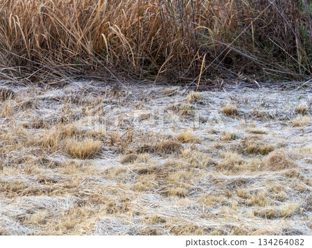 Frozen winter riverbed 134264082