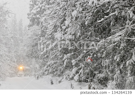 Tadami Line in a blizzard Tadami Line in a blizzard 134264139