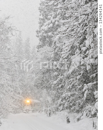 Tadami Line in a blizzard Tadami Line in a blizzard 134264141