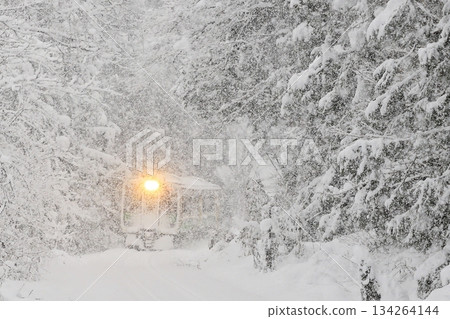 暴風雪中的唯見線 134264144