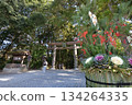 Omiwa Shrine with Kadomatsu 134264335