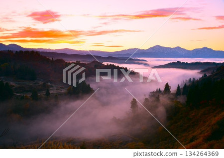 Yamakoshi rice terraces, sea of clouds, sunrise, Echigo Sanzan, dawn Yamakoshi rice terraces, sea of clouds, sunrise, Echigo Sanzan, dawn 134264369