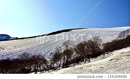 山形縣月山滑雪場的春天 134264690
