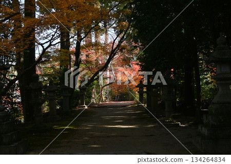Jangsakuji Jangsakuji 134264834