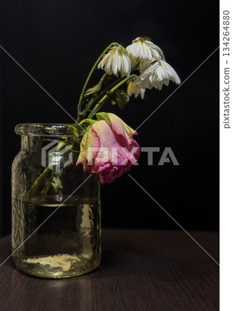 Wilted Pink and White Flowers in Glass Jar of Water Against Dark Background Wilted Pink and White Flowers in Glass Jar of Water Against Dark Background 134264880