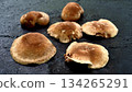 香菇在熱板上烹調 134265291