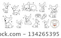 Chihuahua's daily pose collection (minimal line art design) 134265395