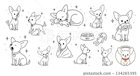 Chihuahua's daily pose collection (minimal line art design) 134265395