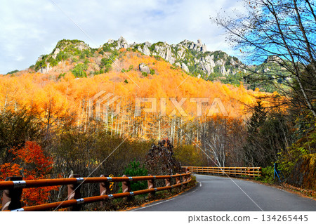 從水垣森林公路眺望水垣山（山梨縣北斗市）[2025年11月] 134265445