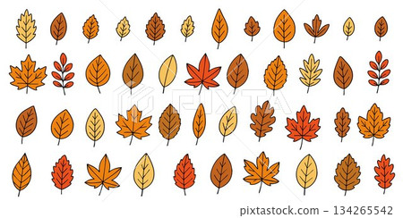 Big set with bright autumn leaves in doodle style. Concept of forest, leaf fall, nature. Fashionable vector illustration, hand drawn. 134265542