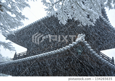 京都建仁寺的冬日山門 134265635