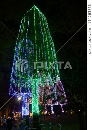 Colorful illuminations using trees Colorful illuminations using trees 134265858