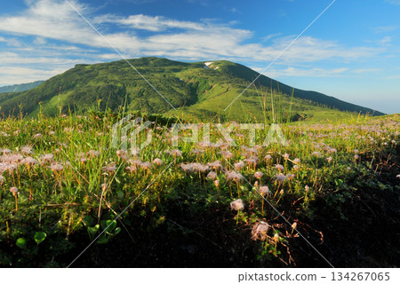 【山景】富山縣，北阿爾卑斯山脈，北俁山和阿留申群島的蓬鬆絨毛 134267065