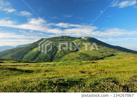 【山景】富山縣，北阿爾卑斯山脈，太郎兵衛平至北俁岳 134267067