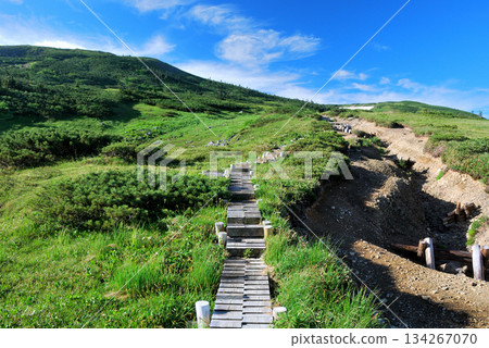 【山景】富山縣,北阿爾卑斯山脈,太郎兵衛平至北俁岳,健行路線 【山景】富山縣,北阿爾卑斯山脈,太郎兵衛平至北俁岳,健行路線 134267070