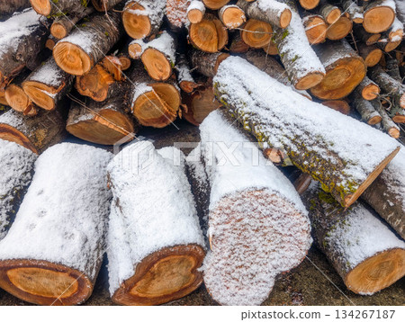 Winter is starting ~ First snow on the firewood ~ 134267187