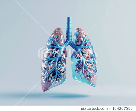 基於公共醫療保健的人體網路背景 134267593