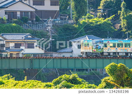 Tenryu Hamanako Railway tracks in Hamamatsu City (Shizuoka Prefecture) Tenryu Hamanako Railway tracks in Hamamatsu City (Shizuoka Prefecture) 134268196
