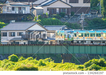Tenryu Hamanako Railway tracks in Hamamatsu City (Shizuoka Prefecture) 134268197